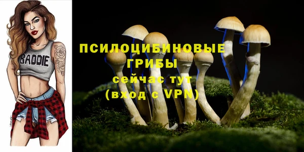 гашиш Аркадак
