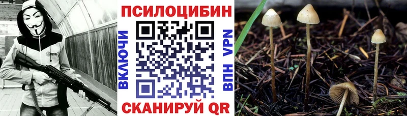 купить наркоту  Сегежа  Галлюциногенные грибы MAGIC MUSHROOMS 